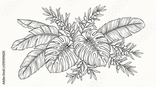 Tropical leaves outline