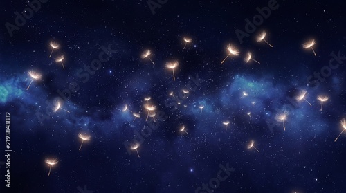 Dandelion seeds drift against a dark starry night sky