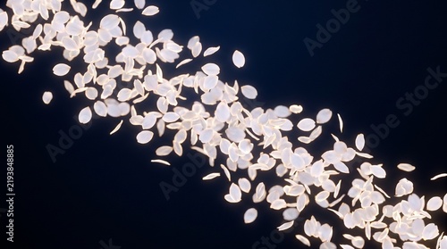 Cherry blossom petals swirl against a dark blue background