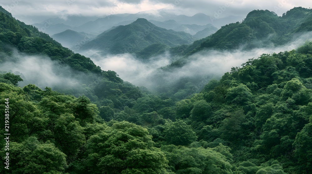 Obraz premium Lush green mountains covered in misty clouds during a peaceful morning. Nature background for eco-friendly travel and environmental conservation themes.