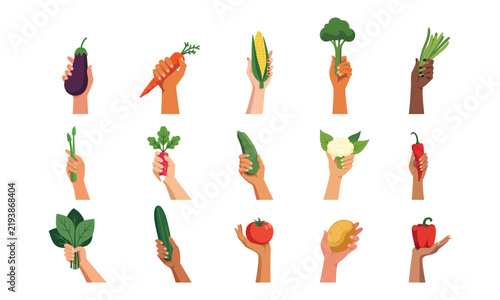 Hand holding vegetables vector graphic collection