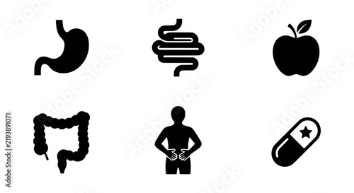 Digestive System Icons, Human Anatomy Vector Graphics, Health & Wellness Symbols Set