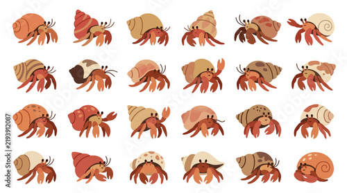 Fotografie Collection of cute cartoon hermit crabs with various shells isolated on white background