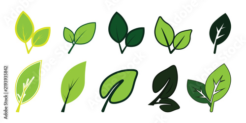 Two leaves icon. Two leaves icon with green eco logo design, Leaf symbol. Nature organic isolated illustration.  for vegetarian and vegan product branding.