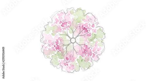 Beautiful pink spring flower blossoms and petals isolated on a white background