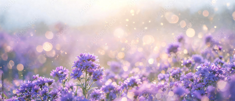 Obraz premium Field of purple flowers with sparkling bokeh lights in sunlight