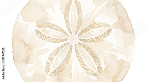 Hand painted beige sand dollar watercolor illustration with radial star pattern for nautical theme