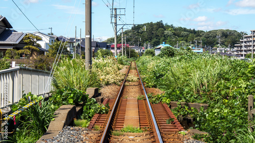 夏草が生い茂る線路