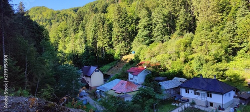 house in the woods