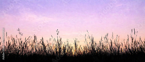 Wild grass silhouettes against vibrant purple orange sunset