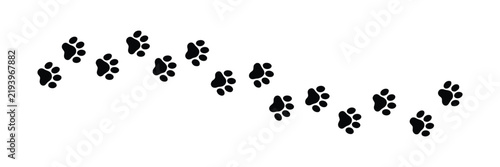 Paw print of dog isolated on transparent background. cat paw print. cat walk foot print. Paw print of dog vector illustration eps 10