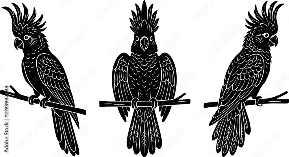 Obraz premium Cockatoo parrots on branches vector illustration set in black and white silhouette style