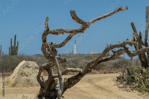 Aruba lighthouse , north coast from Arashi Beach
