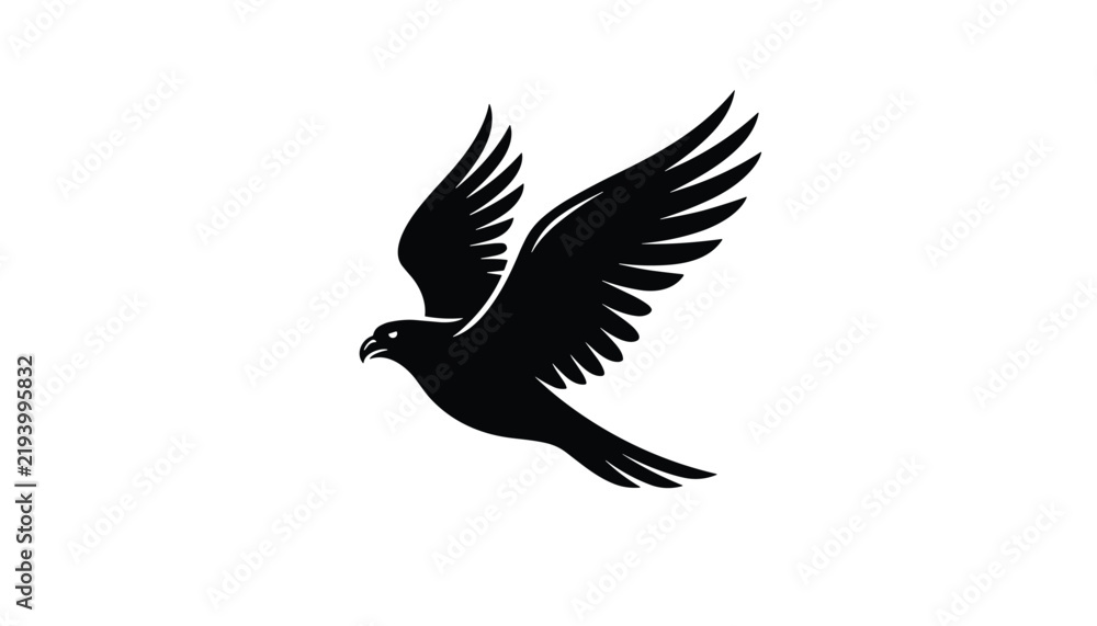 Obraz premium Flying bird of prey silhouette showing a majestic eagle or hawk soaring with spread wings isolated on a white background.