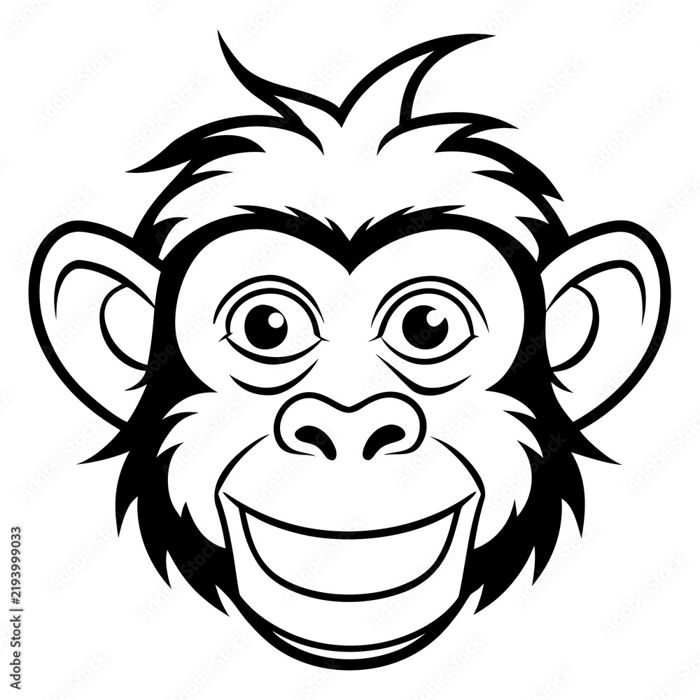 Fototapeta premium monkey