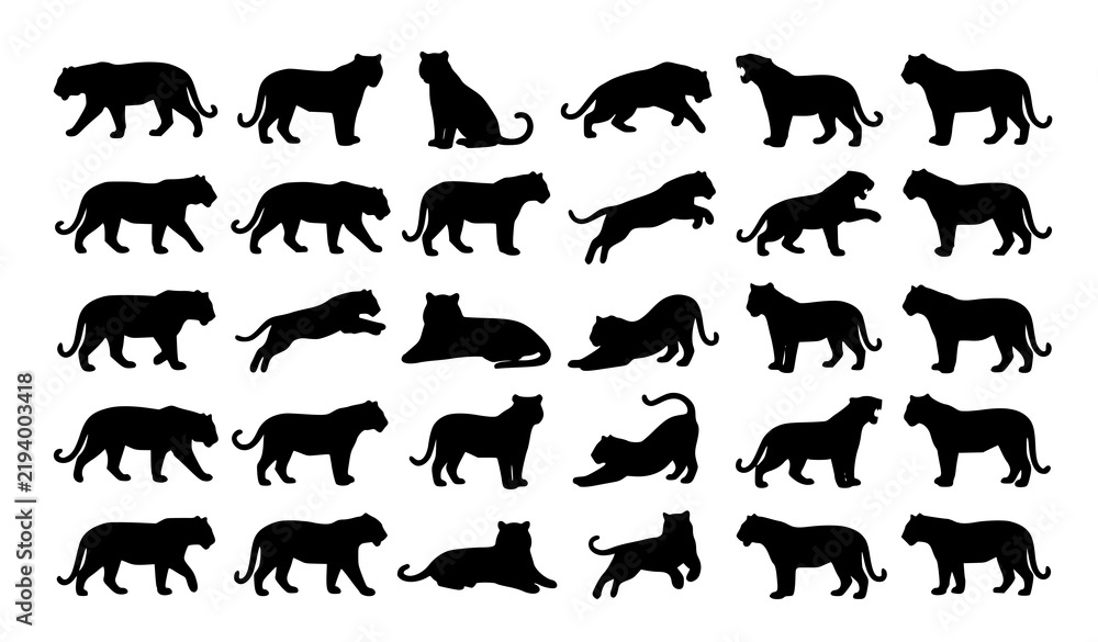 Obraz premium Black Tiger Silhouette Collection – Wild Tiger Animal Vector Illustration Set