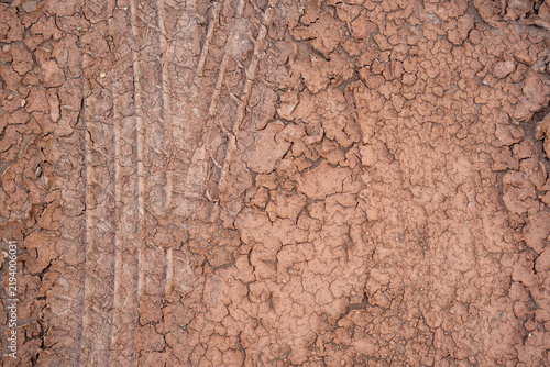 Картината върху платно Dry cracked mud soil ground texture reveals harsh drought climate impact with de