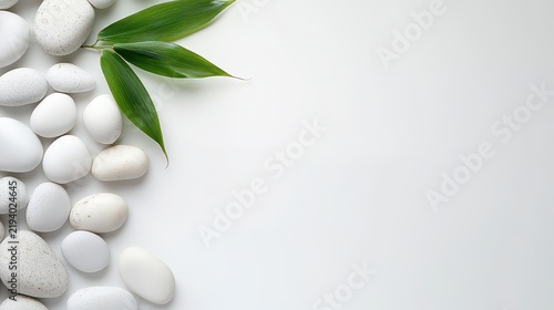 Calm spa setting with smooth white stones and green leaves on white background