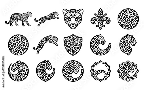 Photography Set of leopard print design elements featuring wild cat silhouettes and decorati