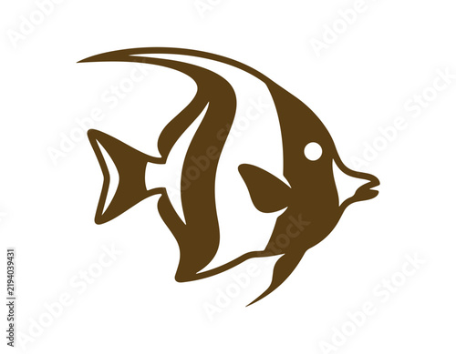 silhouette of a shark