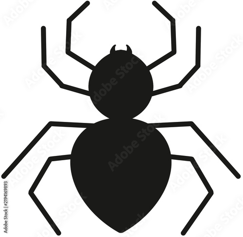 Cuadro en lienzo spider
