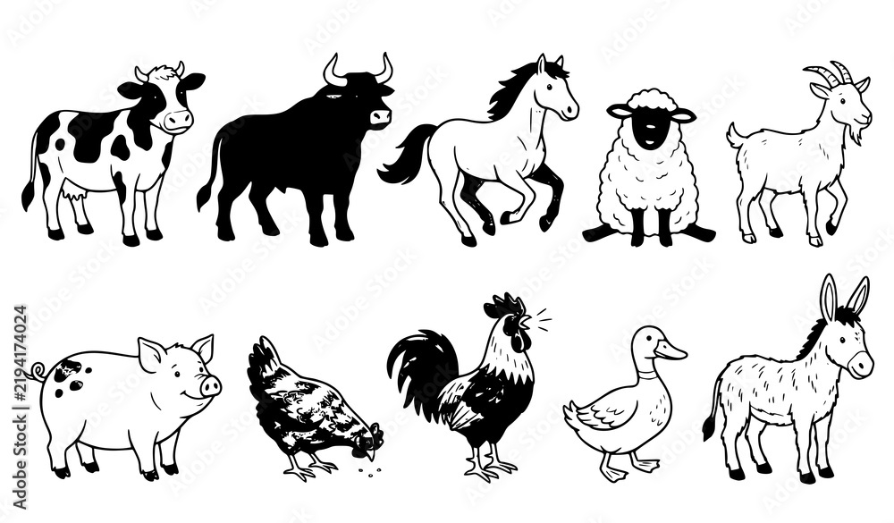 Fototapeta premium Farm Animal Collection Cow Horse Sheep Goat Chicken Vector