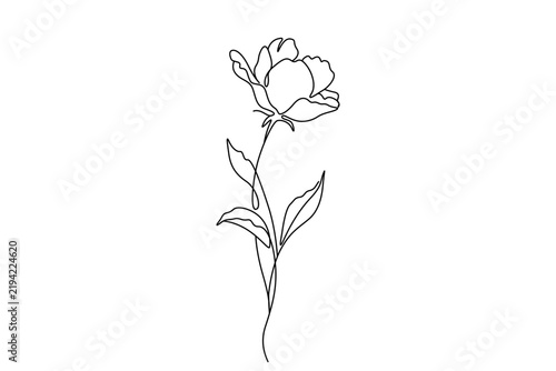 Peony flower continuous line art drawing minimalist botanical vector