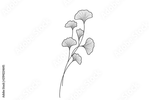 Ginkgo biloba leaf branch continuous line art minimalist vector.