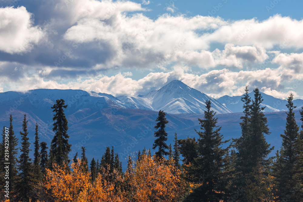 Obraz premium Alaska Denali National Park mountains autumn trees landscape