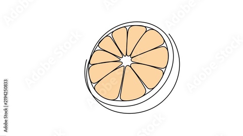 Orange Slice Fruit Continuous Line Art Animation