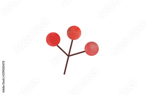 Watercolor autumn red berries and nuts botanical illustration