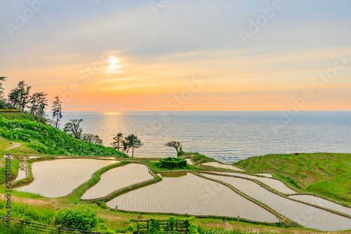 Naklejka 初夏の白米千枚田と夕日 石川県輪島市
