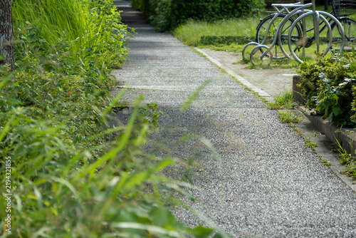 Fotografie 歩道にはみ出す雑草