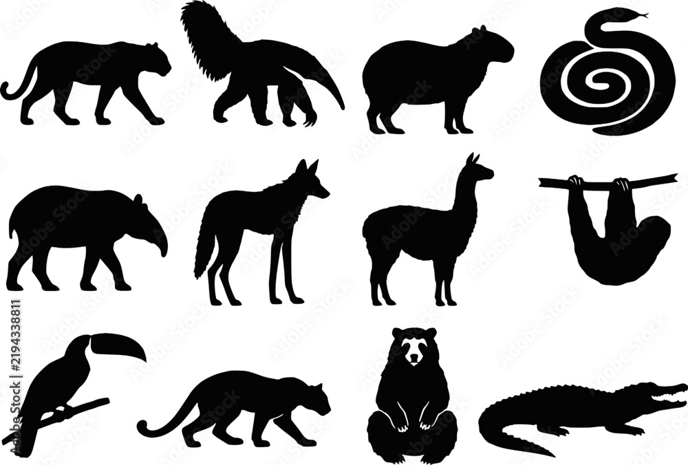Fototapeta premium South American Wildlife Silhouette Set Vector - Jaguar Anteater Capybara Snake Tapir Maned Wolf Llama Sloth Toucan Bear Caiman Icons