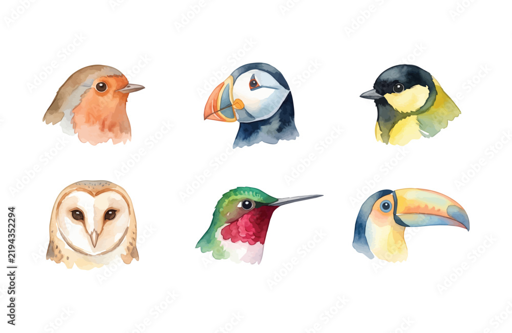 Fototapeta premium Watercolor Bird Heads Icon Set Featuring Robin, Puffin, Tit, Barn Owl, Hummingbird, and Toucan on White Background