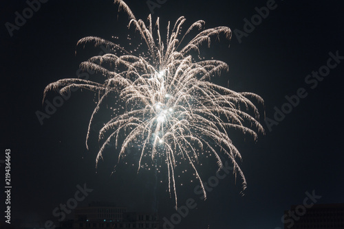 Принти на полотні Bright fireworks burst against a dark night sky, creating a vivid luminous display of light and sparkles