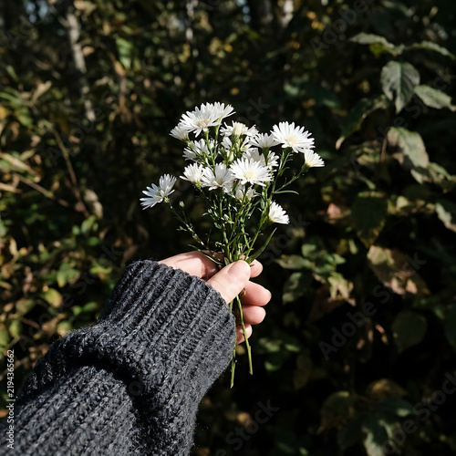 Hand holding small bouquet white flowers.
