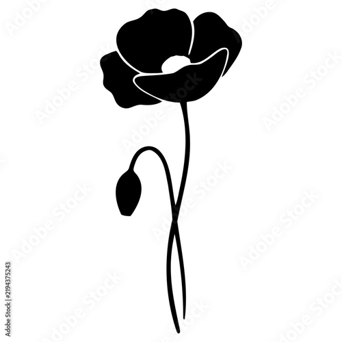 Minimalist black silhouette featuring single poppy flower with bud elegant botanical vector graphic design illustration with wildflower