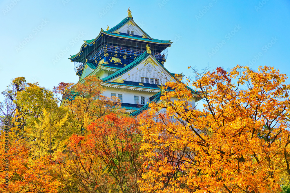 Fototapeta premium View of the Osaka Castle in autumn in Osaka, Japan.