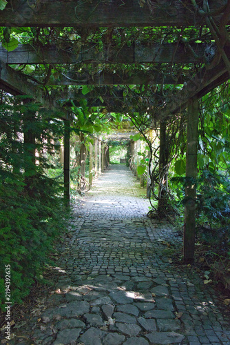 Stone path winds through lush, ivy-clad wooden arches