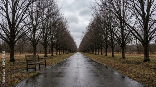 Empty wooden bench beside a wet asphalt path lined with bare trees, overcast sky in a public park.