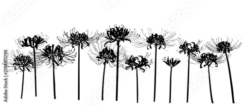 Red Spider Lily Silhouette Floral Border – 12 Different Flowers on Transparent Background
