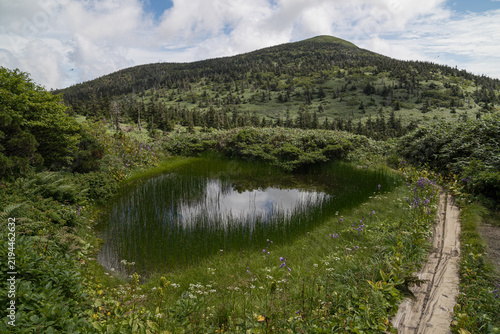 Marsh pond boardwalk and summer wildflowers below a peak in Hakkoda