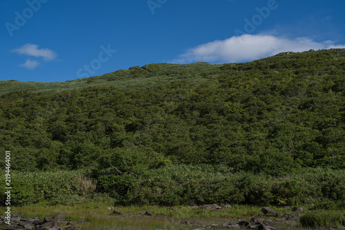 Bamboo grass ridge leading to Mount Shakunage under blue summer sky in Niseko