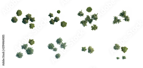 top view tree group without shadows (aerial tree canopy, overhead tree cluster) isolated PNG on a transparent background premium nature cutout