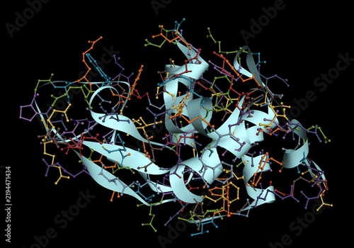 Foto Lysozyme protein molecule, surface representation, 3D render
