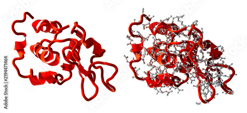 Quadro su tela Lysozyme protein molecule, surface representation, 3D render