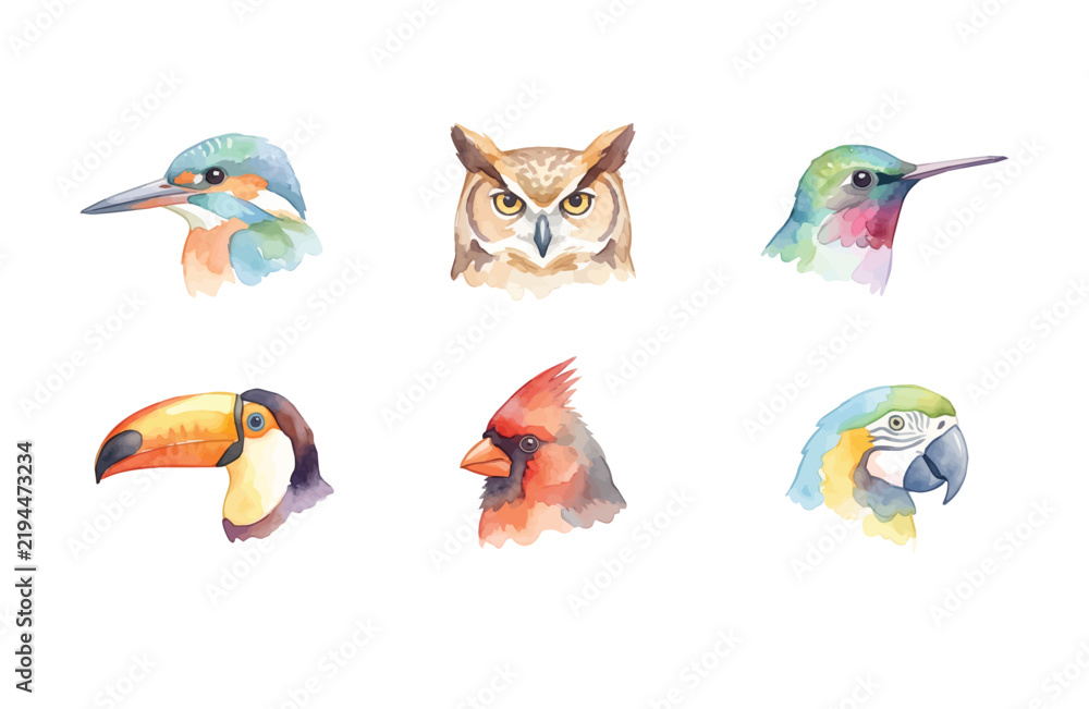 Obraz premium Watercolor bird head icons set, colorful avian portraits illustration on white background