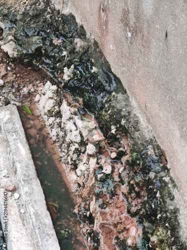 Konstfotografi A high-angle close-up shot of a damaged concrete drainage channel alongside a wall, showing stagnant water, severe moss growth, soil erosion, and structural concrete degradation requiring repair