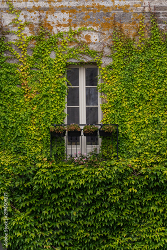 ventana de madera en casa antigua con pared y hiedra